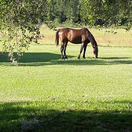 Kokomo Farms ไลฟ์โอ๊ค ภายนอก รูปภาพ