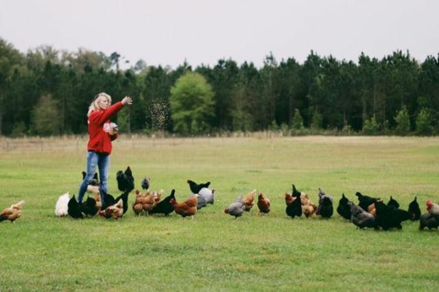 Kokomo Farms ไลฟ์โอ๊ค ภายนอก รูปภาพ