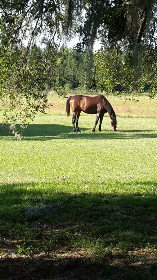 Kokomo Farms ไลฟ์โอ๊ค ภายนอก รูปภาพ