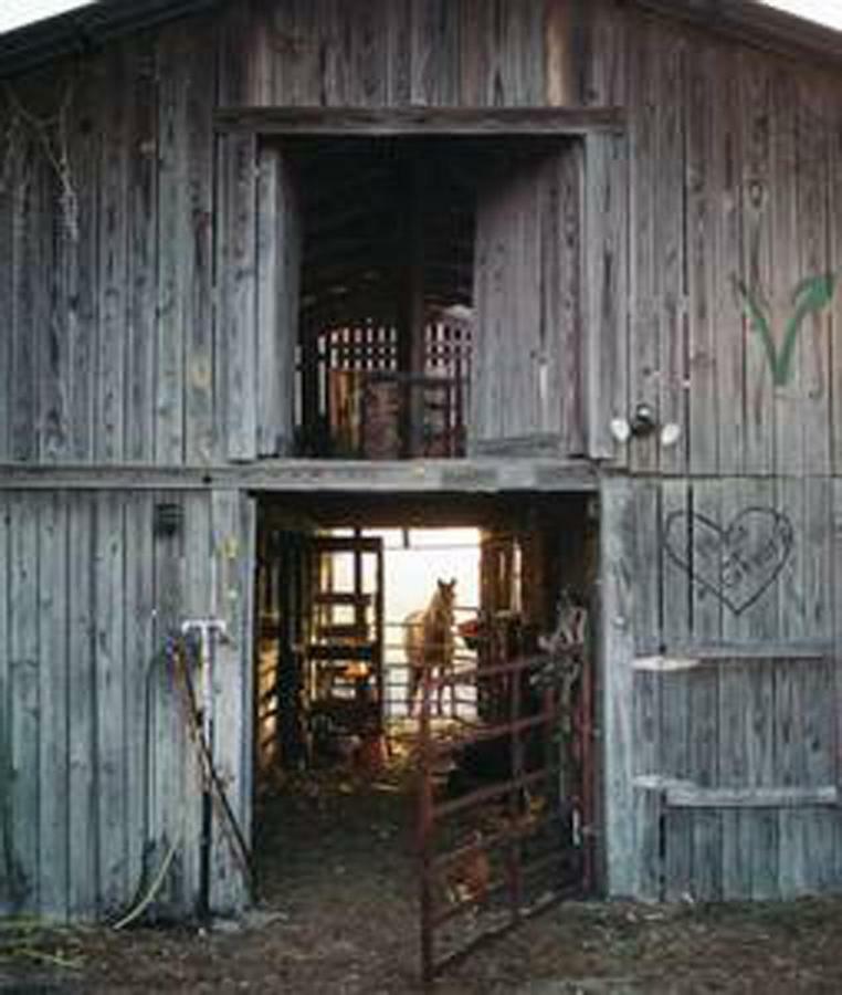 Kokomo Farms ไลฟ์โอ๊ค ภายนอก รูปภาพ