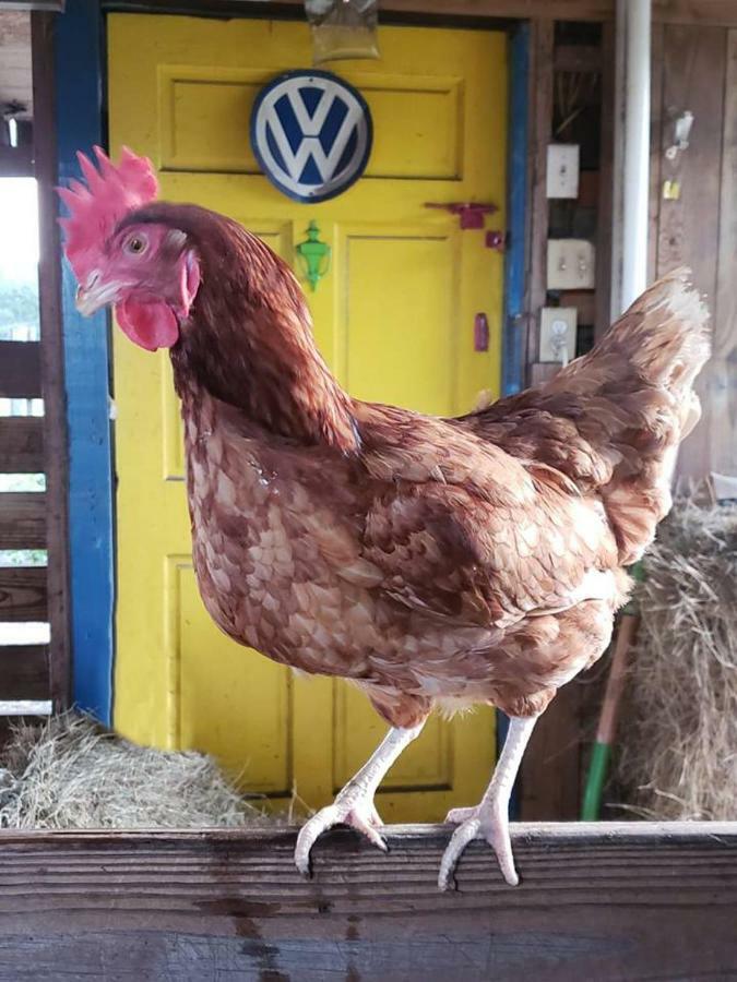 Kokomo Farms ไลฟ์โอ๊ค ภายนอก รูปภาพ